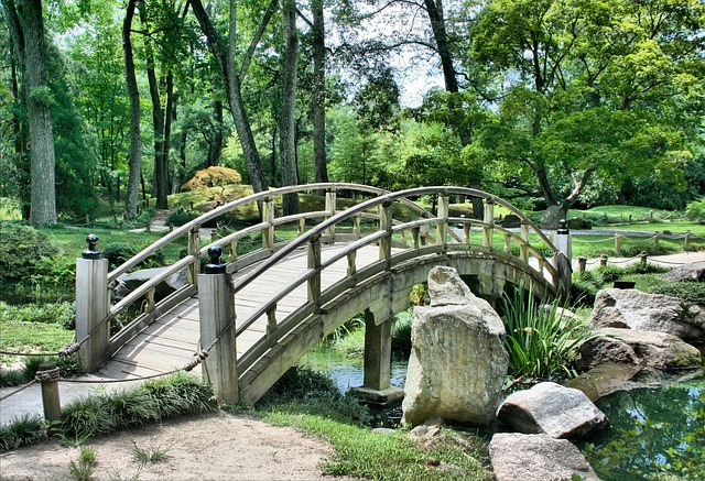 Bridge, Japanese Garden, Arch - Free image - 53769