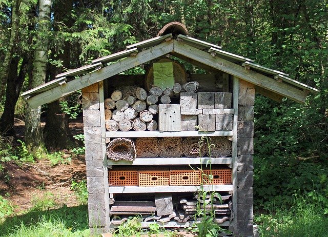 Insect Hotel, Nesting Help - Free image - 349281