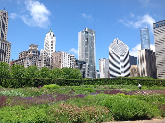 Chicago, Garden, Urban, Skyscrapers - Free image - 170129